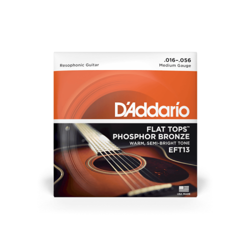 D`ADDARIO EFT13