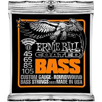 Ernie Ball 3833