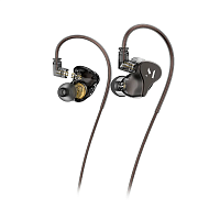 Music Public Kingdom IEM110