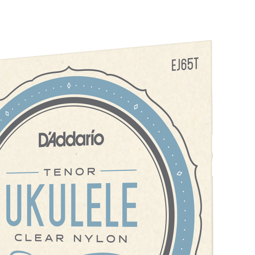 D`ADDARIO EJ65T фото 3